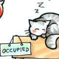 occupied